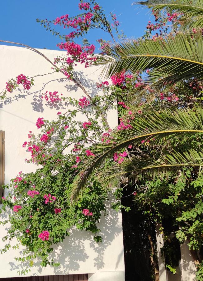 Beach And Tennis Sant Josep de sa Talaia Exterior photo
